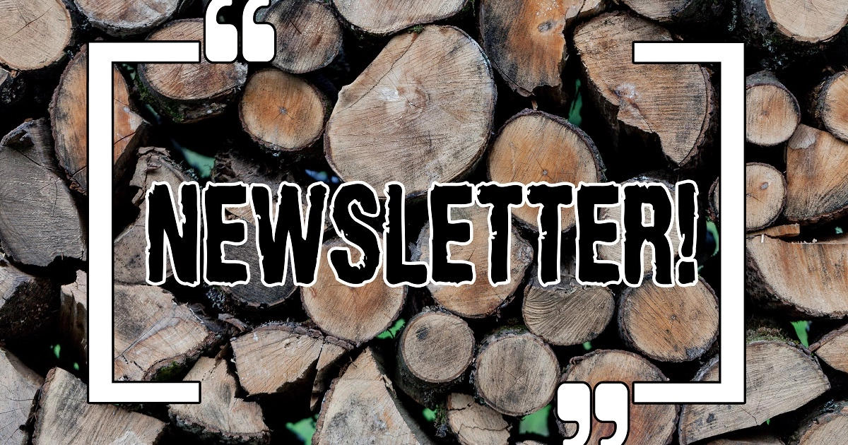 Immagine: Newsletter marketing: consigli per avere successo inviando newsletter professionali